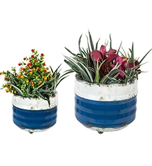 Product photograph of Bondi Blue Balcony Planters Set Of Two from The Garden Furniture Centre Ltd