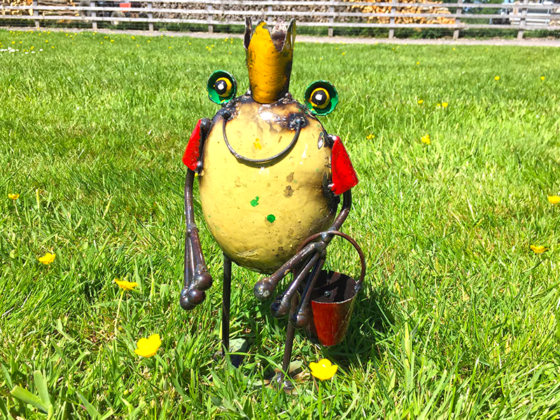 Product photograph of Frog King With Bucket from The Garden Furniture Centre Ltd
