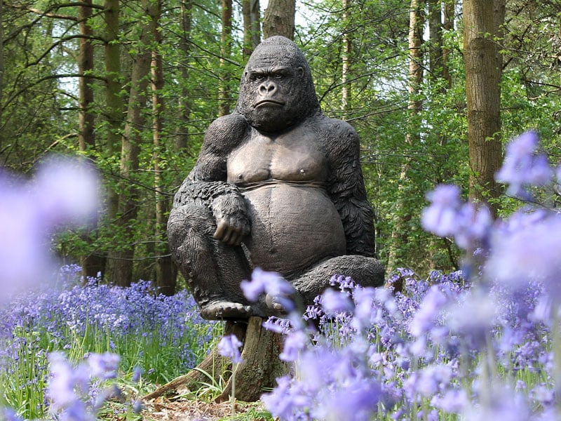 Product photograph of Gus The Giant Gorilla Ornament from The Garden Furniture Centre Ltd
