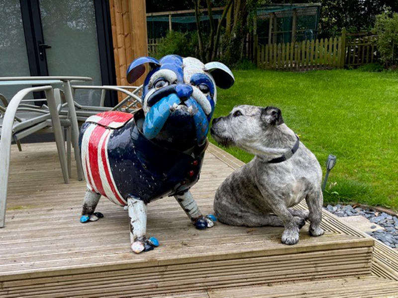 Product photograph of Winston The Bull Dog from The Garden Furniture Centre Ltd