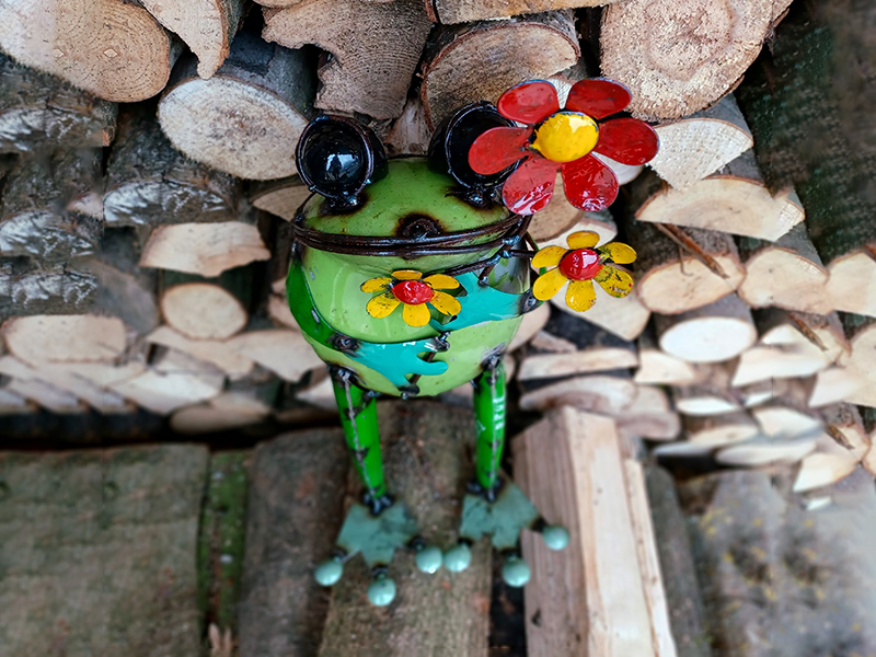 Product photograph of Standing Frog With Flower from The Garden Furniture Centre Ltd