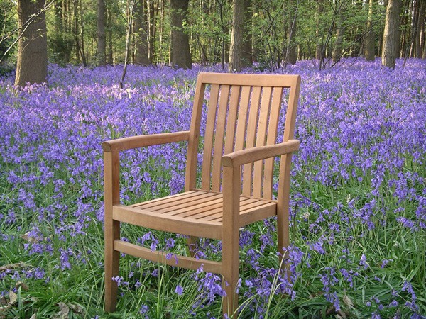 Product photograph of Warwick Stacking Chair Fsc Certified from The Garden Furniture Centre Ltd