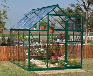 Clean the greenhouse so it's at its best in the summer months 