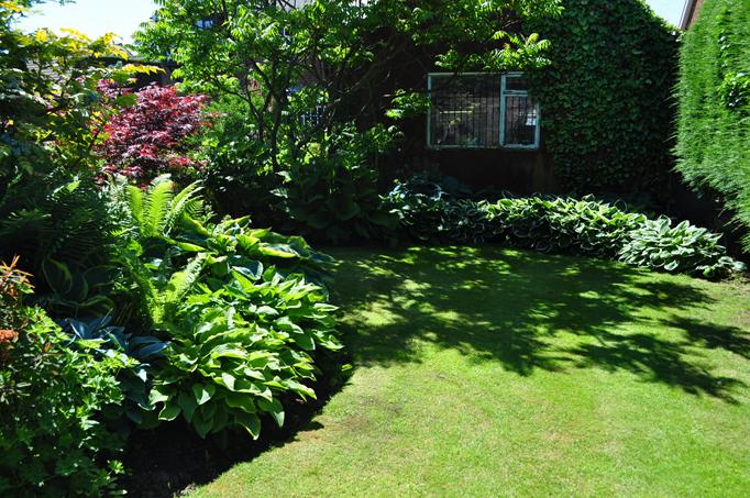 Hostas make perfect plants for shady herbaceous borders.