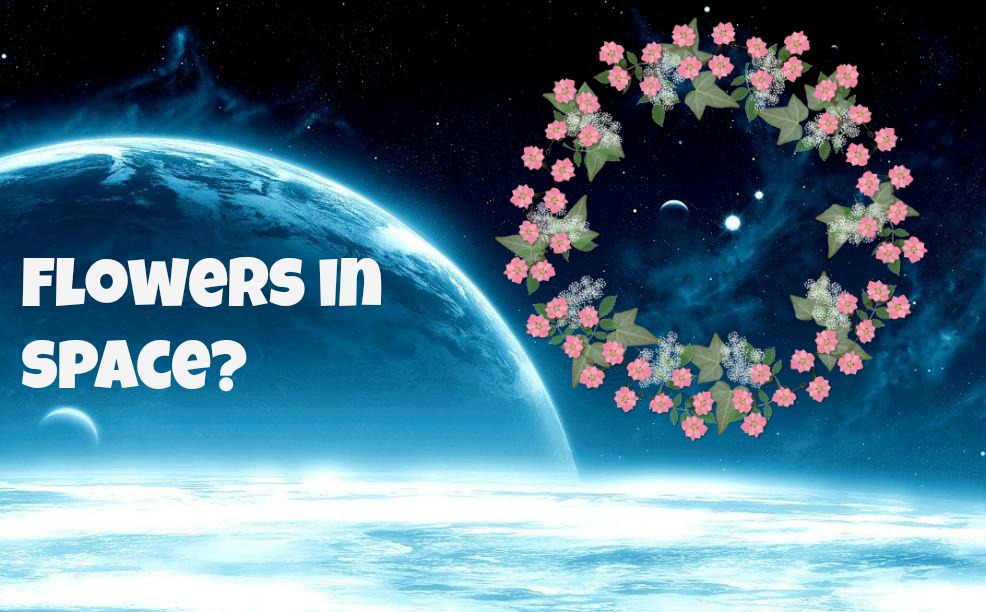 flowers in space