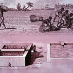 Slaves in Colonial Times